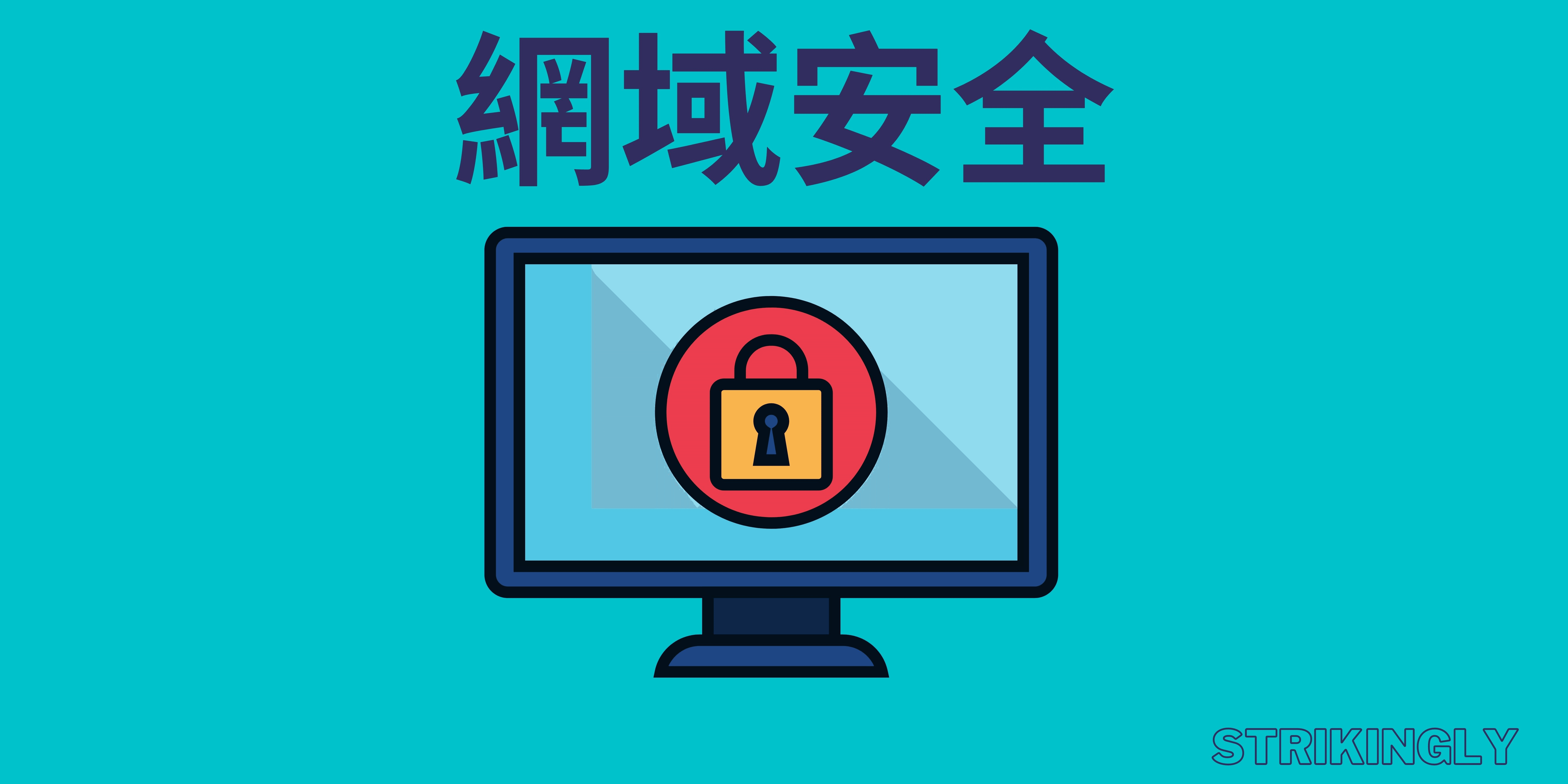 網域安全 網域安全